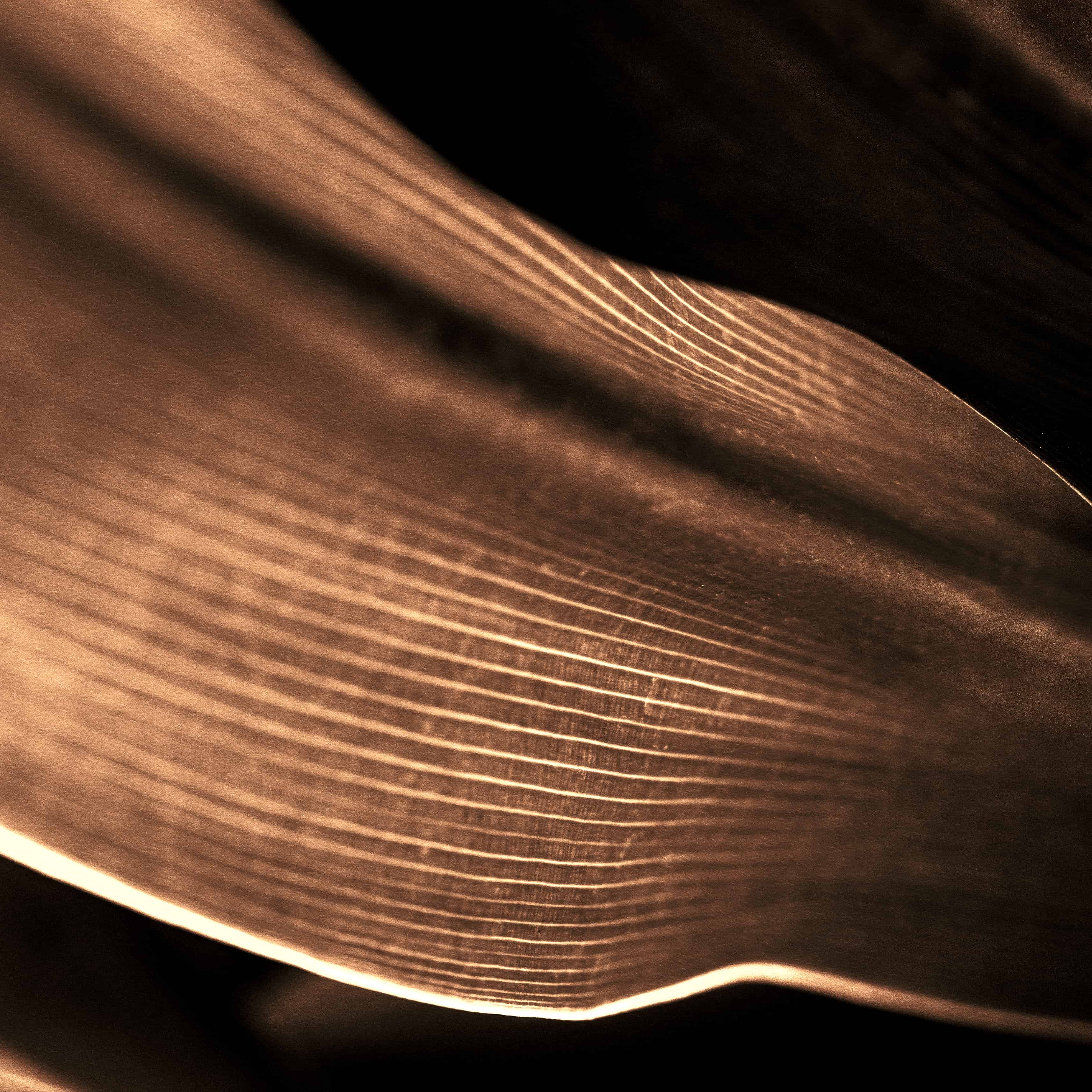 ALT general imagen 5 PLANTSEO